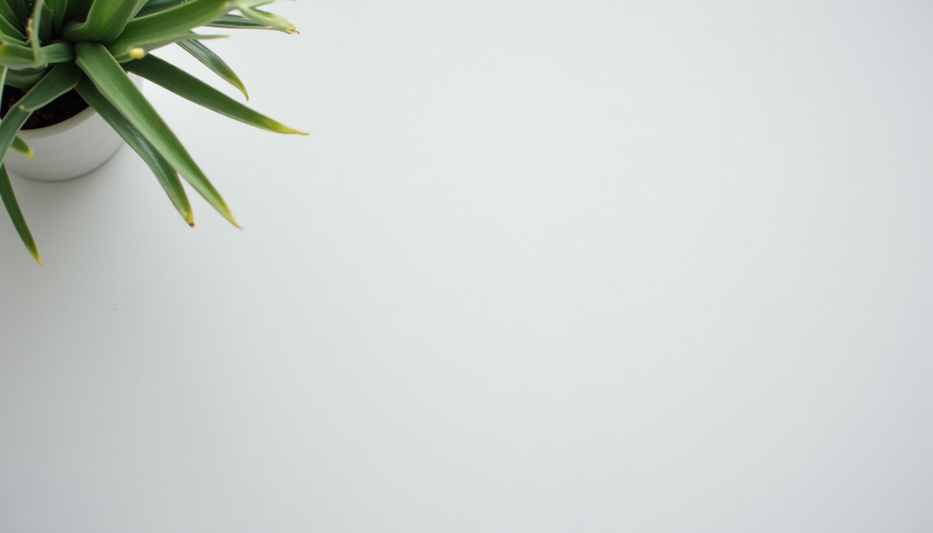 Documentation sur les aides financières pour l